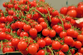 小番茄果蔬图片